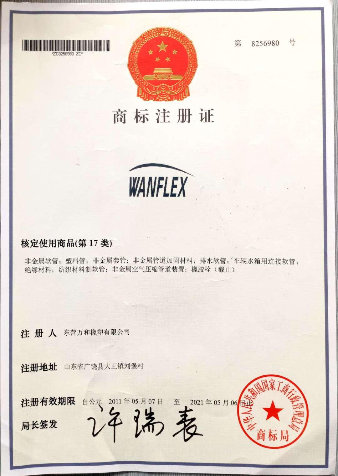 Certification Image 2